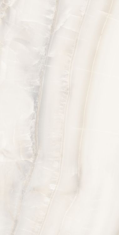 Akoya White Matte 24 x 48
